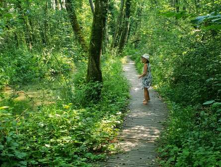 WANDELINGEN EN TREKTOCHTEN